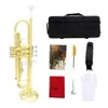 Slade B-platta trumpetfärg Trumpet mässingsinstrument rör kropp för nybörjare att spela mässingsinstrument trumpet professionellt silver pläterad med fodral