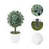 Dekorative Blumen, künstliche kugelförmige Topfsimulation, Bonsai, Kunstdekor, Mini-Töpfe, Buchsbaum, realistische Kunststoff-Büropflanzen