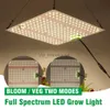 Grow Lights Samsung LM281B LED Grow Light QBX650 24V 232Pcs For Various Plants Flowers Bloom Veg Two Modes For Various Plants Grow Lamp YQ230927