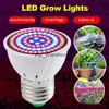 Grow Lights 300W LED Grow Light E27 Full Spectrum Phyto Lamp växthusväxt Spotlight Hydroponics Grow System Lampara för inomhusbelysning YQ230926 YQ230926