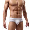 Underbyxor mäns sexiga mesh modal triangel underkläder andningsbara fasta trosor shorts män trosor underkläder