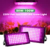 Grow Lights NearCam Full-Spectrum LED Plant Growth Lamp Plantor Plantning tillväxt Lampblommor och gräsverk Fyllning Ljus Krukutfyllning Ljus YQ230926 YQ230926