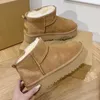 Ultra Mini Snow Boots Winter Australia platforma kostki miękkie wygodne owczesko tazz kasztanowe piasek botki z nasionami botki z nasion