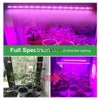 Whod Lights AC220V LED LED Light 75LLDS LED Plant Light Breat pełny spektrum lampa fito dla roślin wewnętrznych System hydroponiczny YQ230926 YQ230926