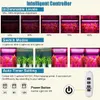 Grow Lights Grow Light Strip con timer 3/9 / 12H per piante da interno Dimmerabile LED Phyto Lamp Phytolamps Rosso e blu Crescente USB Plug Piantina YQ230927