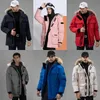 Designer Winter Mens Canada Down Vestes Homme Puffer Outdoor Coupe-vent Vêtements d'extérieur à capuche Fourrure Manteau Down Canadas Gooses Manteau Hiver Parka Doudoune Goose