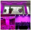 Kweeklampen Phytolamp LED-kweeklamp 85-265V Volledig spectrum LED-buisbalklamp voor planten 8W 30cm voor kweektenten Kassen Bloemen YQ230927