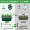 Grow Lights 5 PCS Fröstartfack Växt växer ljus med 12 ventilerade hål per bricka justerbar fuktighet Phytolamp för inomhusfröspirande YQ230927