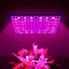 Crescer Luzes Espectro Completo LED Luz 1000WSC IR UV LED Planta Lâmpada Quantum Board Phytolamp Plantas Crescendo Luzes Board para Veg Flower Blooms YQ230927