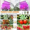 Grow Lights Goodland LED Grow Light USB Phyto Lamp Full Spectrum Horticultural Phytolamp med kontroll för inomhusodling Plant Blommande YQ230926 YQ230926