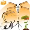 Grow Lights DC12V Full Spectrum LED Grow Light for Plants 20W 40W 60W 80W SMD2835 Dimble Timing Phyto Lamp för växthustält YQ230927