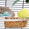 Diğer kuş malzemeleri papağan besleyici içici kafes kuşlar su asılı kase kutusu evcil hayvan plastik gıda konteyneri