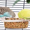 その他の鳥の供給パロットフィーダー飲酒者ケージバードウォーターハンギングボウルボックスペットプラスチックフードコンテナ