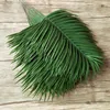 20pcs Plastik Yapay Palmiye Ağacı Bırakın Şube Yeşil Bitkiler Sahte Tropikal Yaprak Ev Düğün Dekorasyon Çiçek Düzenlemesi T20070238X