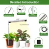 Cultivez des lumières LED à spectre complet élèvent des lumières pour les plantes d'intérieur avec une hauteur réglable 3 spectre d'éclairage minuterie automatique 3/9/12H prise américaine YQ230927 YQ230927