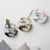 Assiettes décoratives, organisateur de rangement utile, support d'étagère murale Durable à 2 formes pour la maison