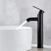 Kitchen Faucets Stainless Steel And Cold Faucet European Style Black Countertop Basin Wash Bathroom