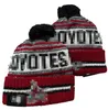 Stars Beanie Beanies North American Hockey Ball Team Side Patch Winter Wool Sport Knit Hat Skull Caps