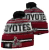 Calgary Beanie Flames Beanies Noord-Amerikaanse hockeybal Team zijpatch Winterwol Sport gebreide muts Skull Caps