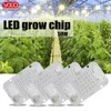 Grow Lights Driverlesslm283b rot 660 nm LED Grow Light Chip DOB AC COB Modul 50 W Lampenperlen Kein Treiber für Zimmerpflanzen erforderlich YQ230927