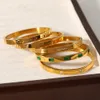 Bangle selvagem livre 18k banhado a ouro pulseiras de aço inoxidável para mulheres simples luxo zircão pulseiras na moda jóias à prova d'água 230926