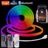 Tiras de led tuya inteligente wifi tira led luzes de néon dc 12v rgb tira led bluetooth app controle sinal de néon ao ar livre à prova dwaterproof água flexível led 12 ll