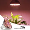 Grow Lights E27 LED élèvent la lumière spectre complet 100 W/120 W lampe de croissance des plantes Fitolamp LED ampoule de culture pour fleurs jardin légumes boîte de culture YQ230927