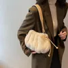 Sacs de soirée Femmes Cloud Cordon Sac Soft Peluche Polyvalent Bourse Fausse Fourrure Fluffy Datation Solide Couleur Femelle Hiver Quotidien