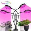 Grow Lights Suntech Full Spectrum Phytolamps 5V USB LED Grow Light with Timer Desktop Clip Phyto Lamps Greenhouse Lights YQ230926 YQ230926