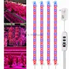 Grow Lights Grow Light Strip con timer 3/9 / 12H per piante da interno Dimmerabile LED Phyto Lamp Phytolamps Rosso e blu Crescente USB Plug Piantina YQ230927