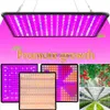 Whod Lights 1000 W Light LED Full Spectrum Lampa 1500 W LED Plant Culb Greenhouse Hal Phytolamp dla roślin uprawy namiot Us UE UK Plug YQ230927