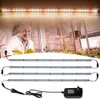 Kweeklampen 24V Kweeklamp LED-balk 2835 Buislamp Plantenteeltverlichting voor kamerplanten en bloemen Kas Hydrocultuur YQ230926 YQ230926