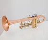 Hot Sell High Quality Brass Tube C tone Small Trumpet Adjustable Double Horn Gold Plated Surface Professional Music Instruments