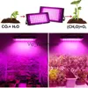 Lampes de croissance Phytolamp pour plantes lumière 200W Led grandir lumière Phyto lampe ampoule à spectre complet lampe hydroponique serre fleur graine cultiver tente YQ230926 YQ230926