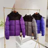 Vestes en duvet pour hommes manteaux doudoune de créateur Peak Purple RED VIOLET unisexe à manches longues à capuche 700 Fill-down capuche escamotable finition hydrofuge parkas h2