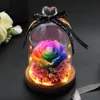 Couronnes de fleurs décoratives, décoration de maison, cadeaux de fête de mariage, vraie fleur dans un dôme de verre sur Base en bois pour la saint-valentin LED Ro267T