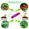 성장 조명 LED 성장 Phytolamp Grow 텐트 램프 30cm Phyto 램프 야채 온실 파종기 화분에 대한 전체 스펙트럼 YQ230927