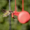 Andra fågelförsörjningar matare med hål 16 "transparenta fåglar som matar rörträdgård kolibri utomhus vildfrö