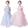 Robes de fille élégantes en Tulle bleu, robe de princesse pour enfants de 1 à 14 ans, robe de spectacle papillon rose, fête d'anniversaire