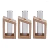 Vases 3X Crystal Glass Test Tube Vase In Wooden Stand Flower Pots For Hydroponic Plants Home Garden Decoration