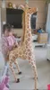 Plüschpuppen, 100–140 cm, riesige echte Giraffe, Plüschpuppenhäute, unbefüllte Plüschtierhaut, Kindergeschenk, Raumdekoration, DIY-Spielzeug, Halbzeug 230927