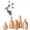 VASESヨーロッパの黄金花瓶の卓上装飾リビングルームアートデコ水耕栽培植物コンテナ装飾