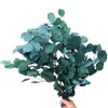 Bouquet de feuilles d'eucalyptus naturelles préservées, fleurs séchées immortelles pour décoration de mariage, exposition de fleurs, décoration de la maison, 204a
