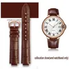 Uhrenbänder Echtes Lederarmband für Handgelenkband Männer Weiblich Konvexband 14 8mm 18 11mm 20 12mm Modearmband268r