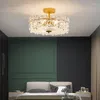 Plafondlampen indoor verlichting led keukenarmaturen Verlepting plafond lamp paars licht