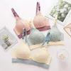 Intimo maternità Reggiseno premaman in pizzo Fibbia anteriore Reggiseni allattamento Gilet senza cuciture Abbigliamento per donne incinte Intimo Reggiseno allattamento all'ingrosso 230927