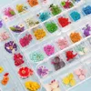 1Box Dried Flowers Dry Plants For Resin Molds Fillings Epoxy Pendant Necklace Jewelry Making Craft DIY Nail Art Decoration Decorat221f