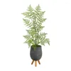 Dekorativa blommor ruffle Fern Artificial Tree in Grey Planter med stativ