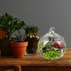 Wazony 2 szt. Suwolentne rośliny Eco Butelka wiszące w pomieszczeniach na ścianie terrarium szklane powietrze