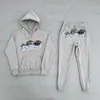 Sweats à capuche brodés Vêtements de sport Sweatsuit Survêtements pour hommes Jogger Set Vêtements Pantalons Tiger Head Pantalons de survêtement Sport Set streetwear CP HBKG